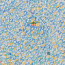 Invisible World